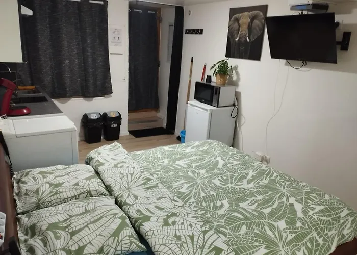 Studio Centre Ville Foix